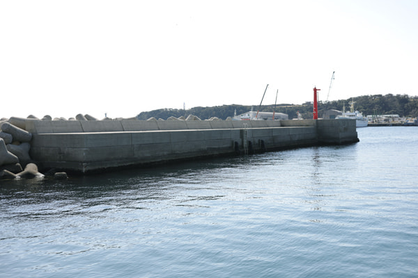 通り矢堤防(田中堤防)