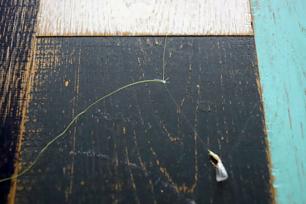 アジング＋サビキ