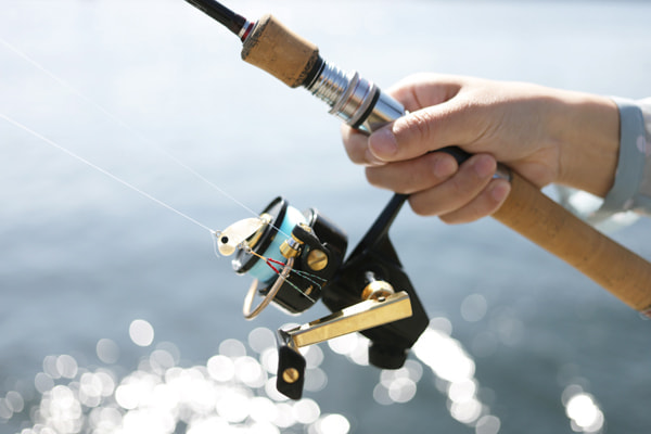 テイルウォーク(tailwalk) ロッド troutia 55ML