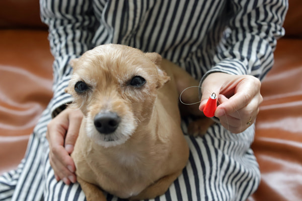 ライトゲーム、ちょい投げ