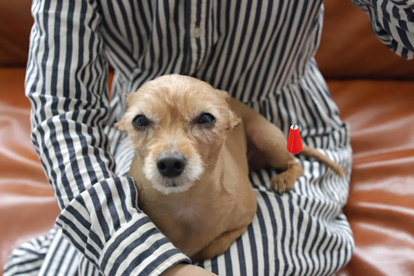 ライトゲームから簡単に「ちょい投げ」に変更する仕掛け