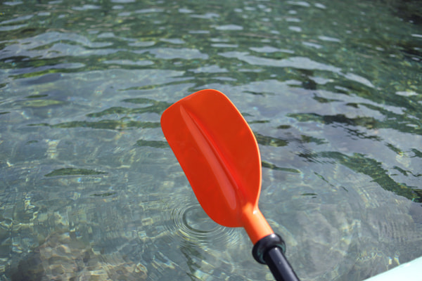 SUPフィッシング フィン