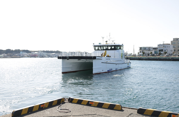 三崎港 釣果 北条湾(城ケ島大橋側)