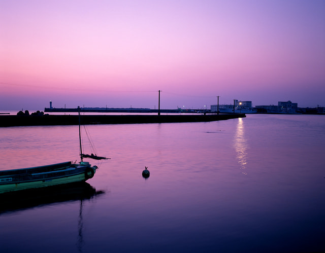 三崎港 夜釣り 釣果