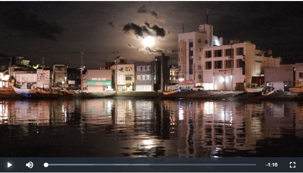 三崎港 夜釣り(ナイトゲーム)