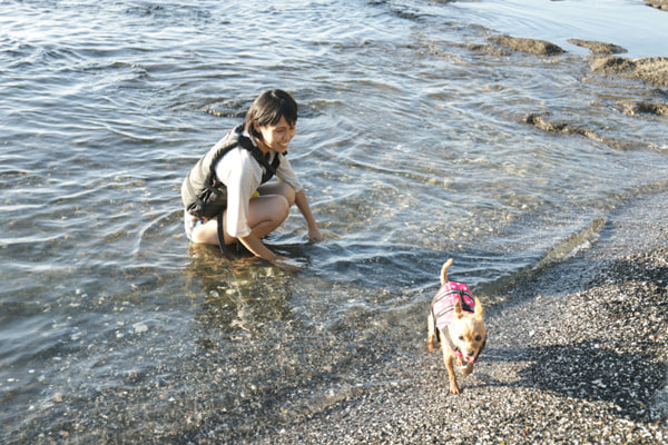 油壷で釣果を目指す