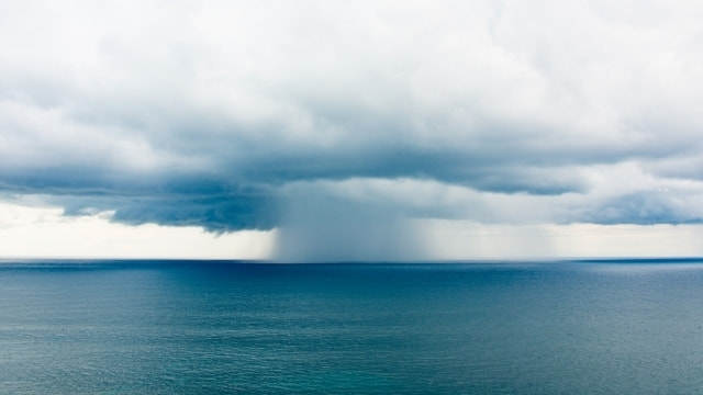 雨 海釣り 釣れる