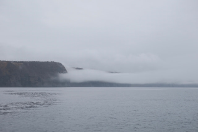 雨 海釣り 釣れる