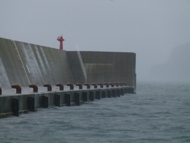 雨 海釣り 釣れる