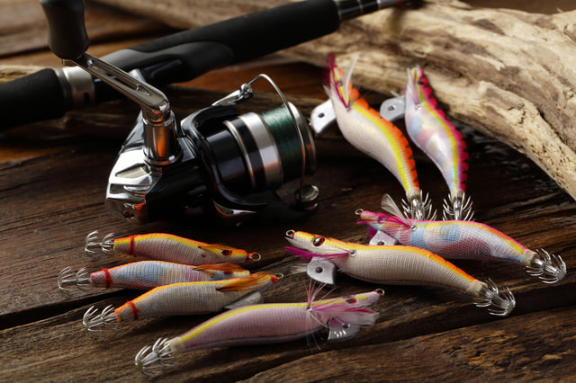 諸磯(浜諸磯、きつね浜) エギング