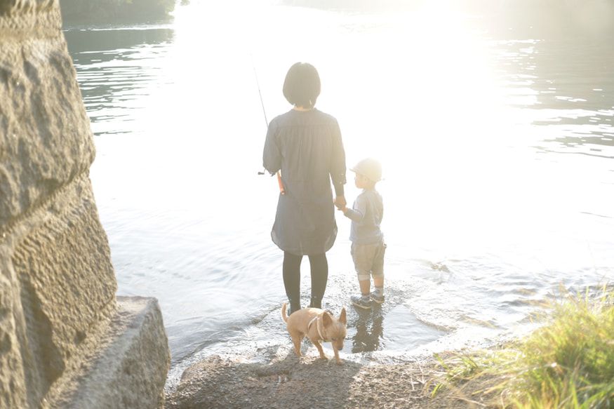 東大臨海実験所下