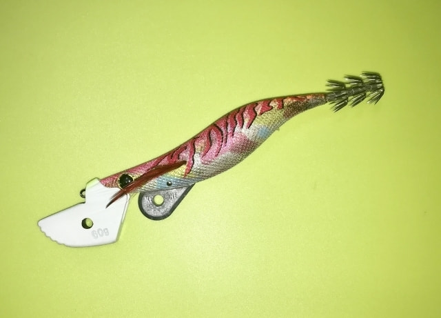 三崎港 エギング