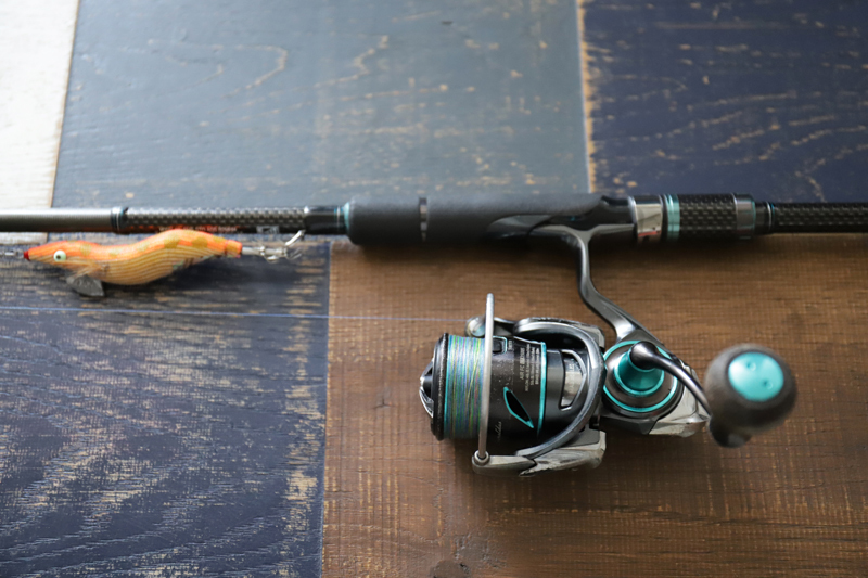 三崎港ケンサキエギング