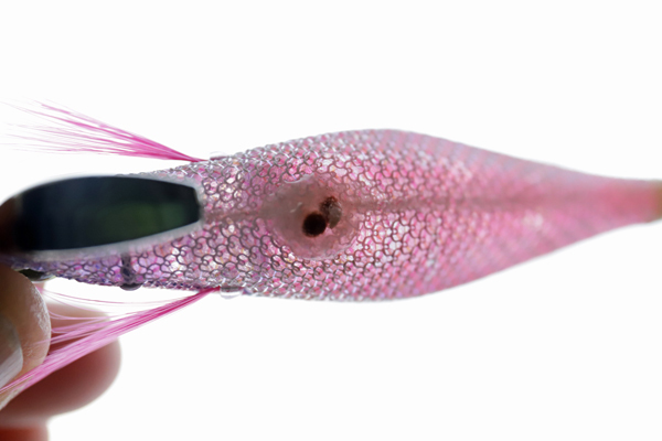 エギ王サーチは釣れる？釣れない？評価、人気