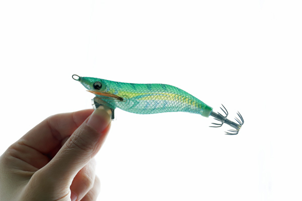 エギ王Kは釣れる？釣れない？インプレッション