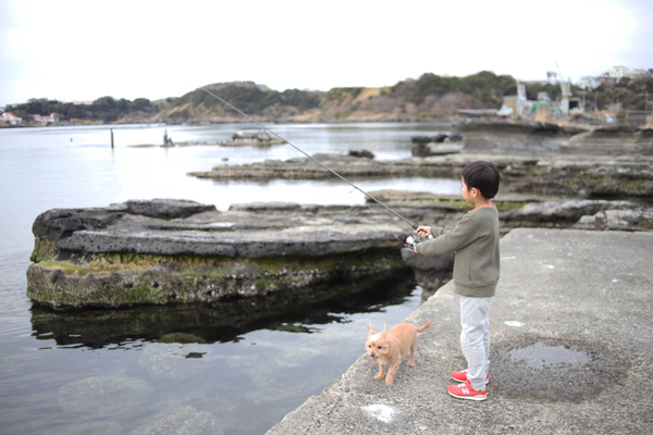 エギング、釣れる春イカ＆夏イカ＆冬イカの裏技