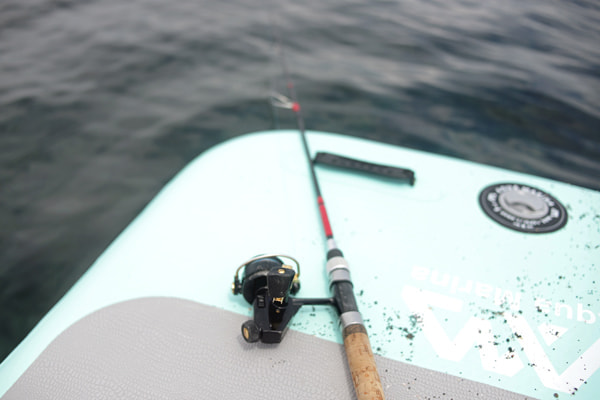 SUP(カヤック、ボート)エギングでイカを釣る