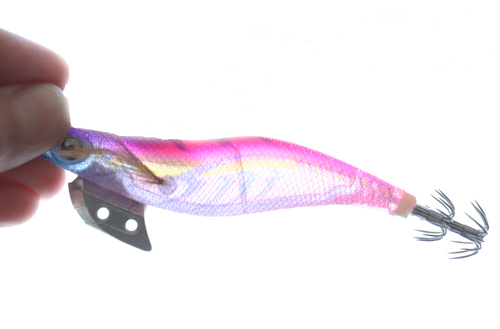 エギ王Kは釣れる？釣れない？インプレッション