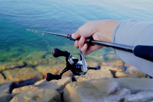 エギングのシャクリ方はエギの特性を活かそう